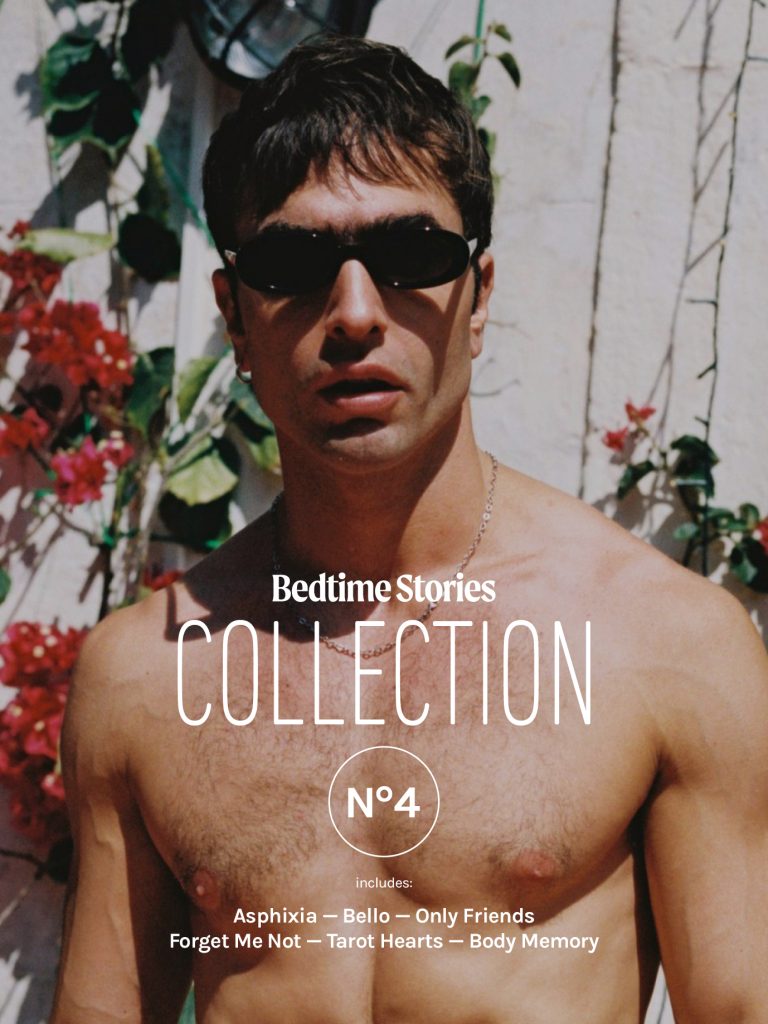 bundle collection gay erotica